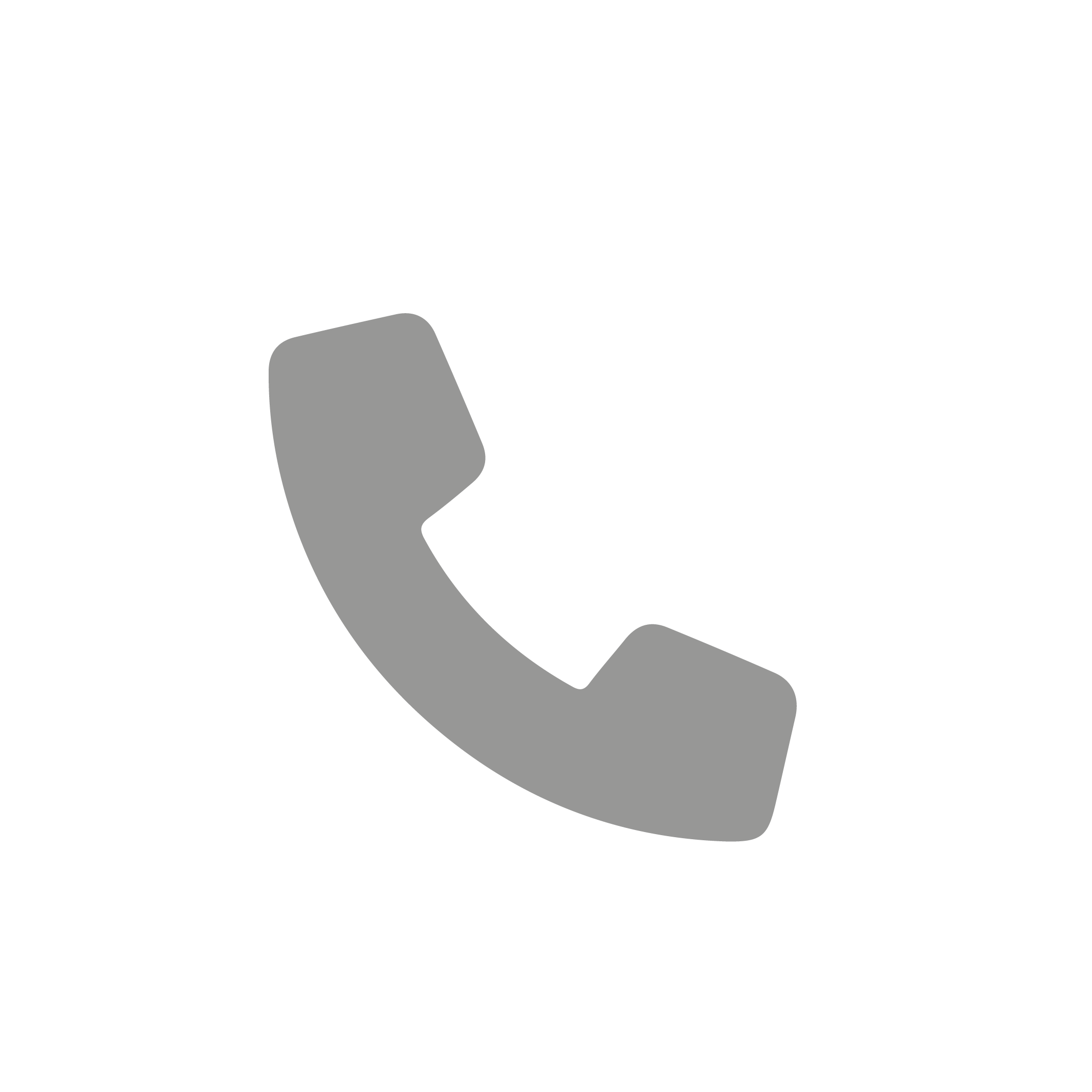 phone icon